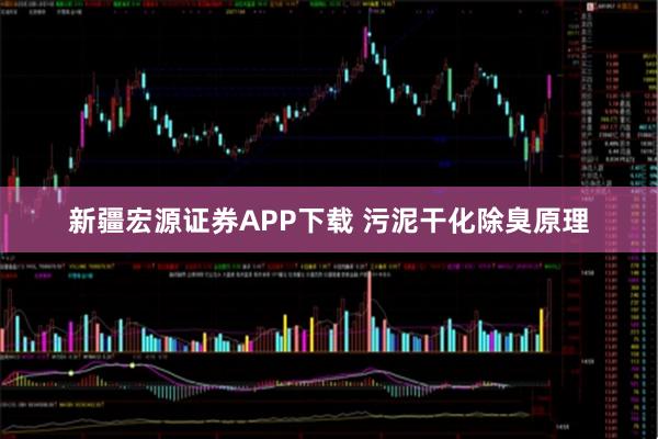新疆宏源证券APP下载 污泥干化除臭原理
