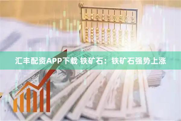汇丰配资APP下载 铁矿石：铁矿石强势上涨