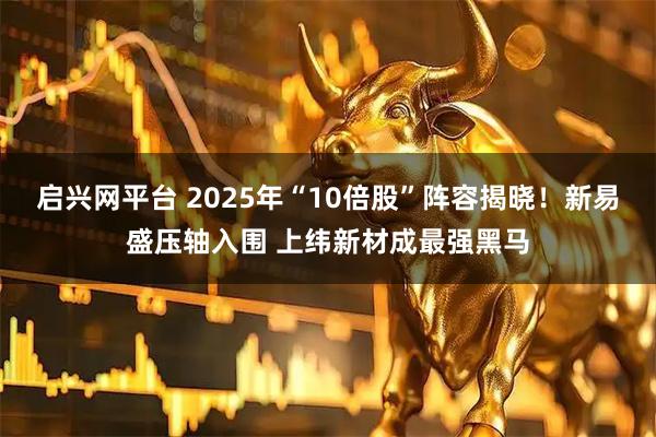 启兴网平台 2025年“10倍股”阵容揭晓!新易盛压轴入围 上纬新材成最强黑马
